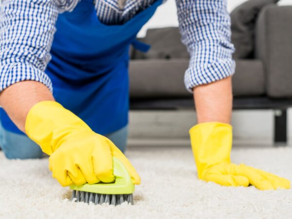 Apartments Cleaning Listing Category Carpet,Sofa & Chairs