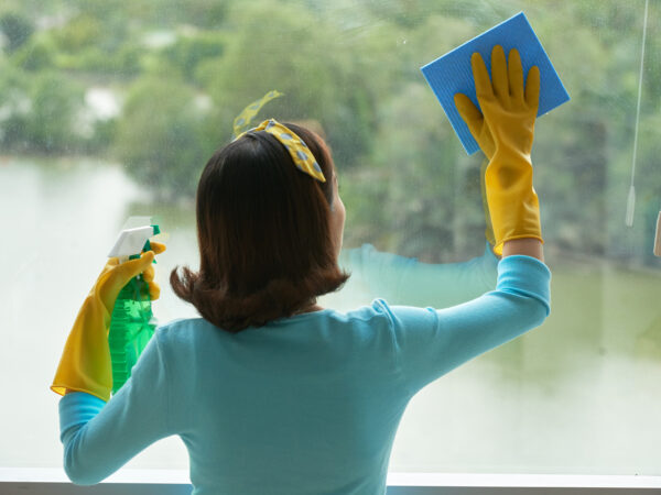 Apartments Cleaning Listing Category Windows Cleaning